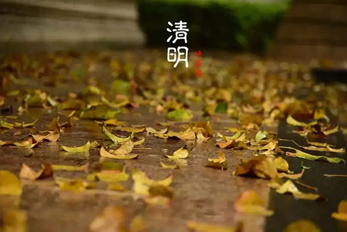 “寒冷”的清明。。。